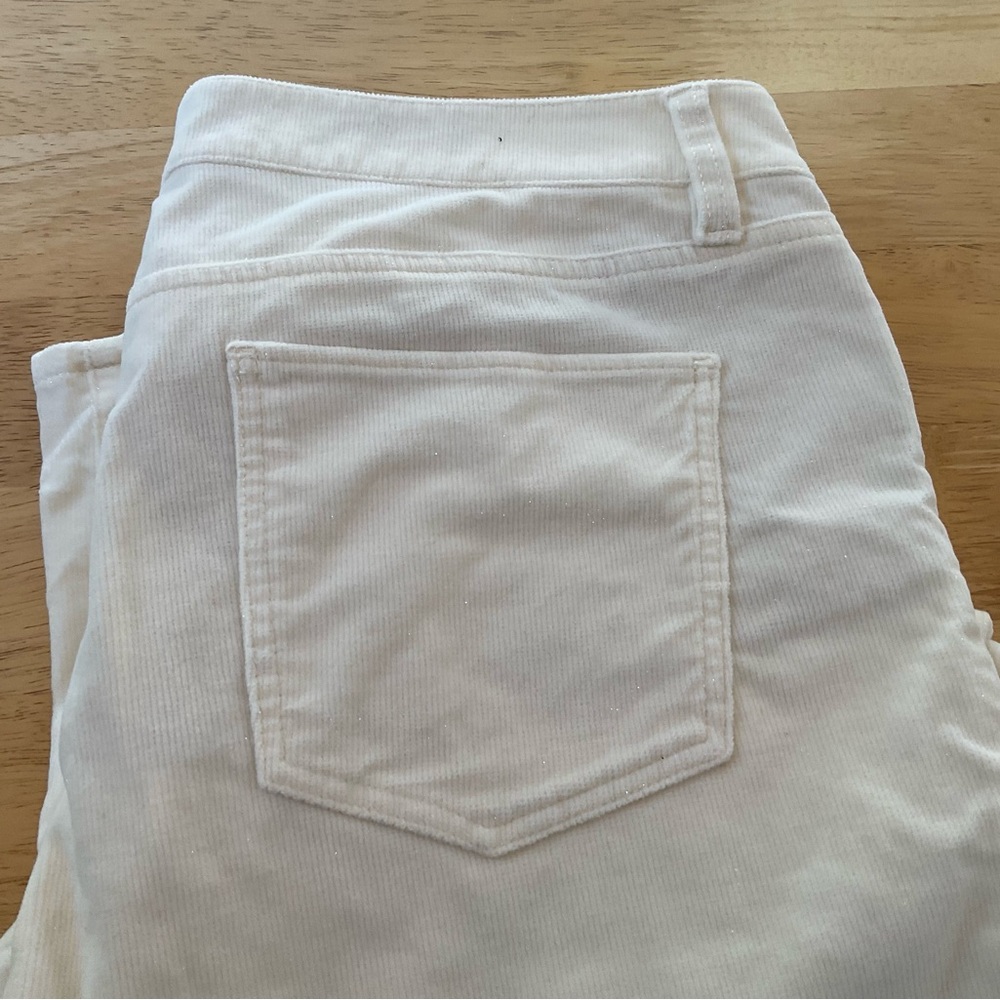 Talbots slim ankle pants 14
